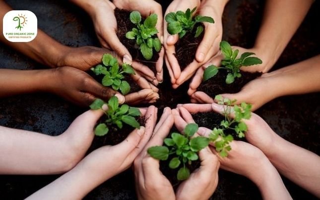 Meet the Farmers Behind Your Food – Stories from the Pure Organic Zone Community